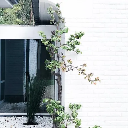 The Oak Guest house *