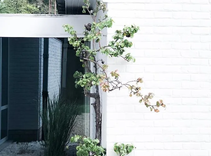 The Oak Pensionat 3*